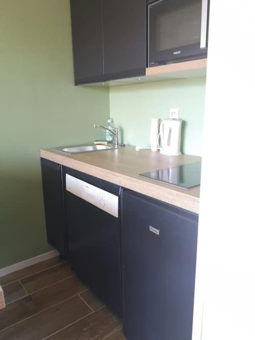 Au Pied Des Pistes Avec Parking Entierement Renove Apartment Huez Luaran gambar